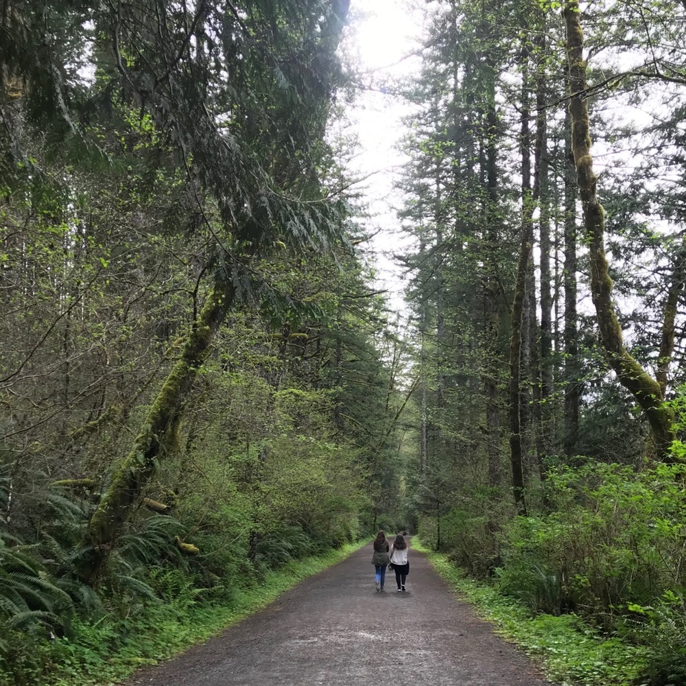 Meet your Posher, Josey